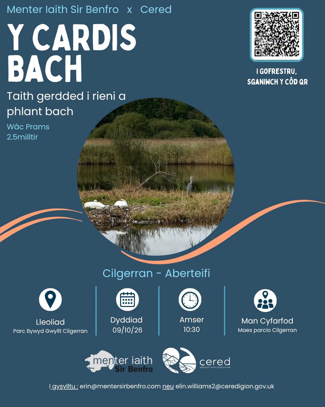 Y Cardis Bach